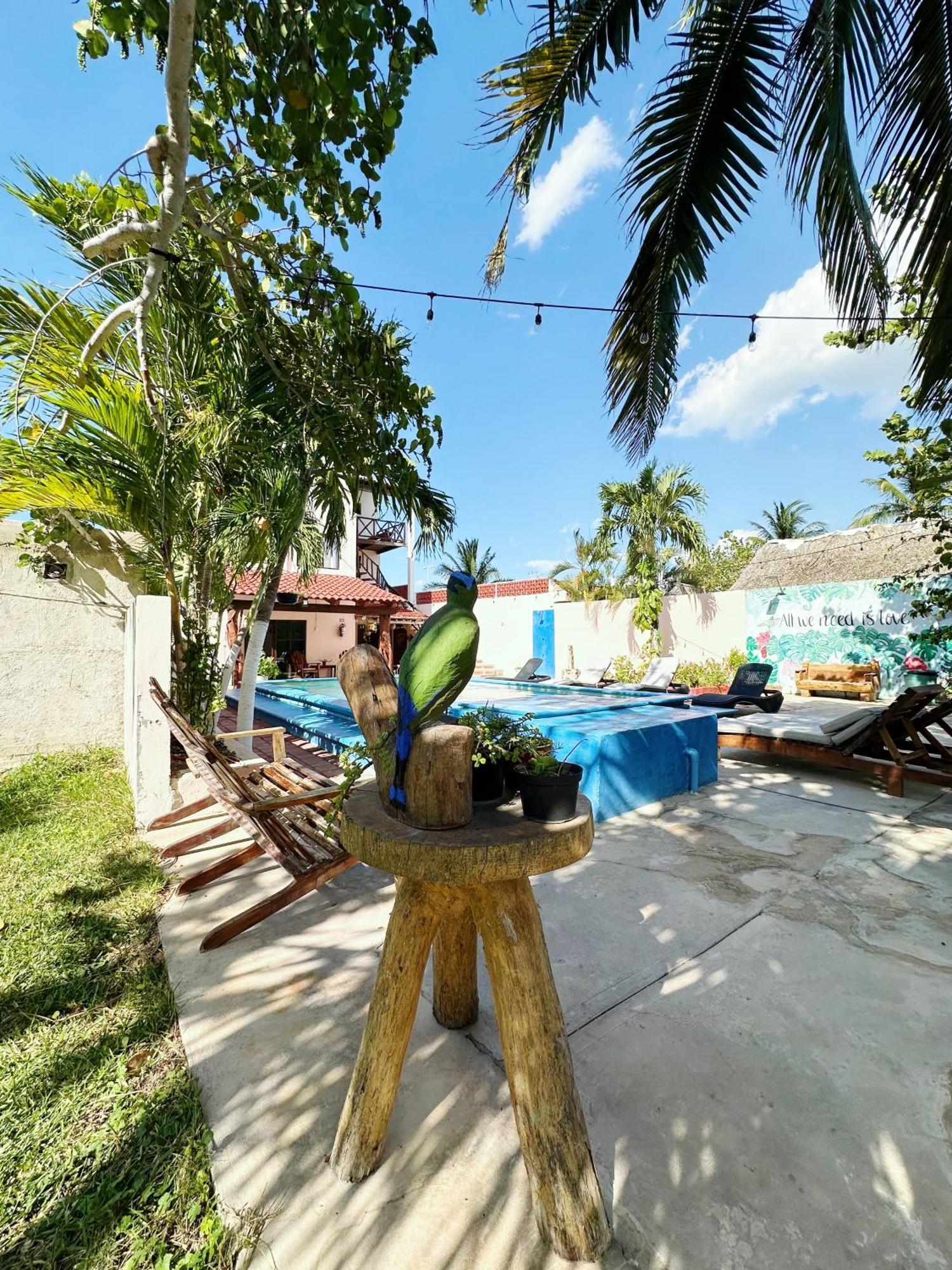 Posada El Perico Marinero Río Lagartos Zewnętrze zdjęcie